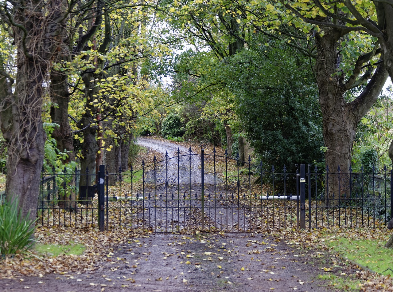 allée en asphalte