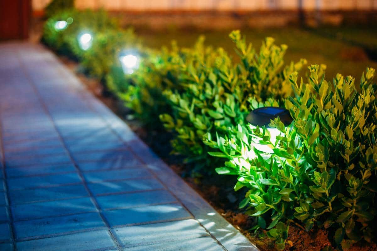 lumineux conseils sentier jardin creer.jpg