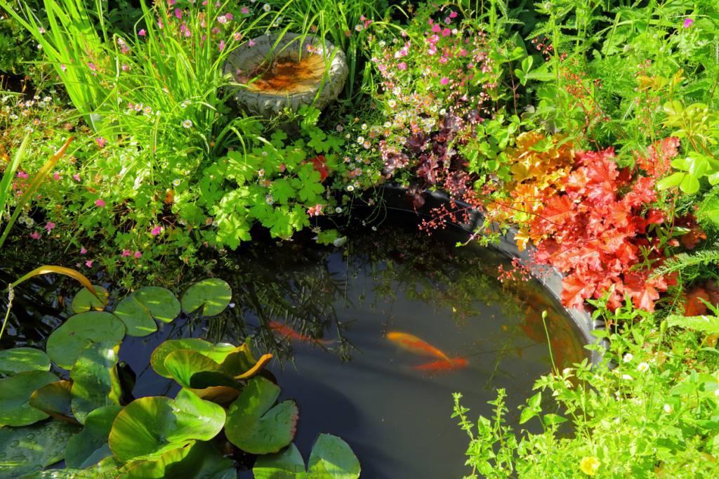 mare jardin