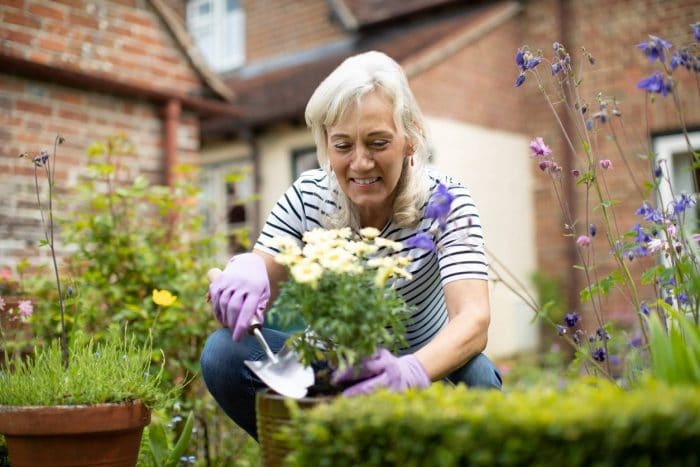 jardinage